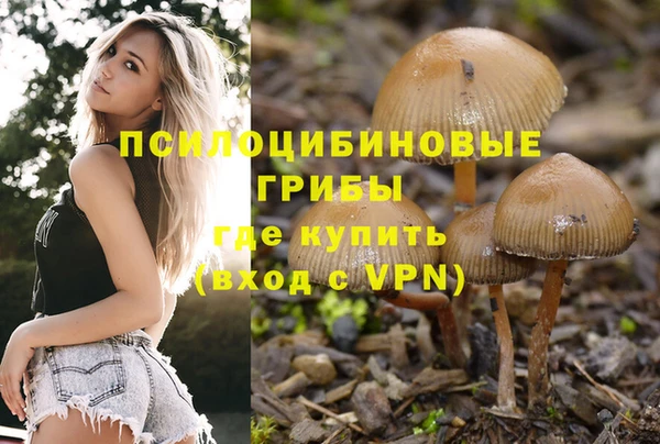 скорость Нея