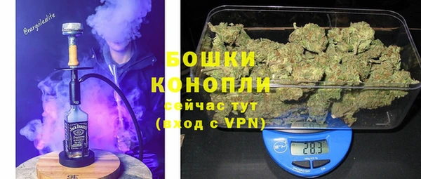 соль ск Новодвинск