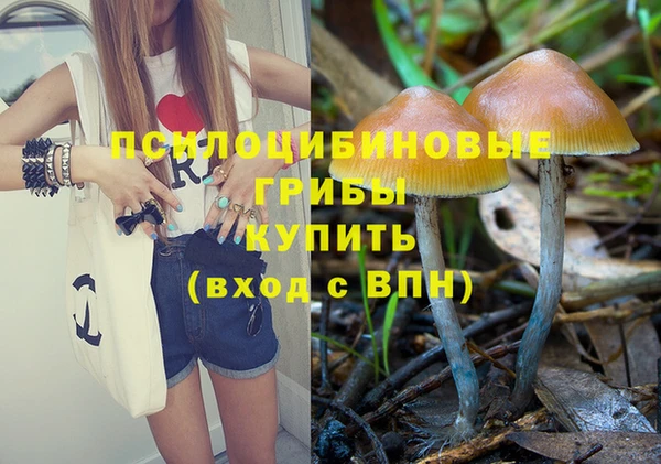 эйфоретик Нефтекумск
