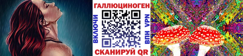 хочу наркоту  Кимовск  Галлюциногенные грибы ЛСД 
