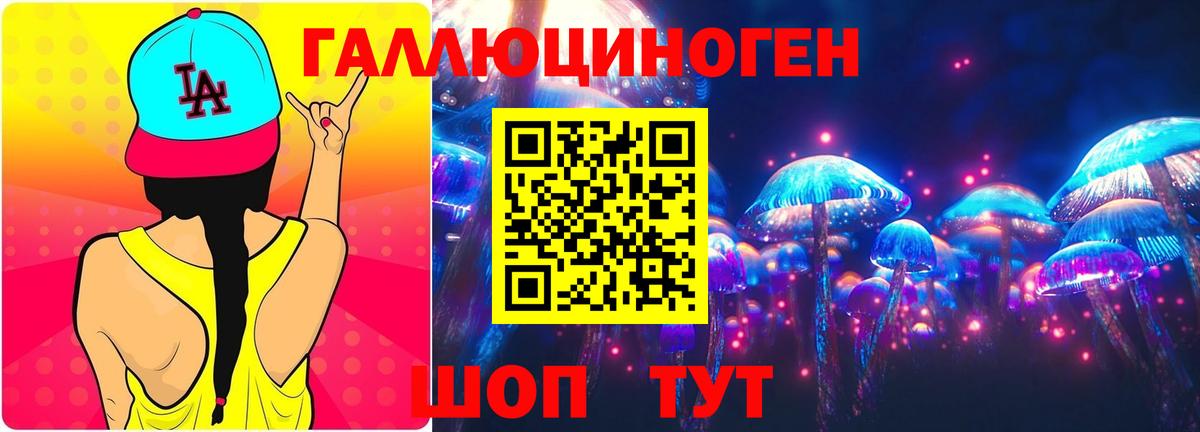 Кимовск  Псилоцибиновые грибы Psilocybe  Псилоцибиновые грибы Psilocybine cubensis  Вход с VPN 