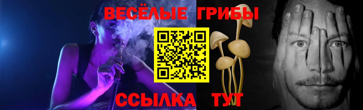 Псилоцибиновые грибы Magic Shrooms Кимовск